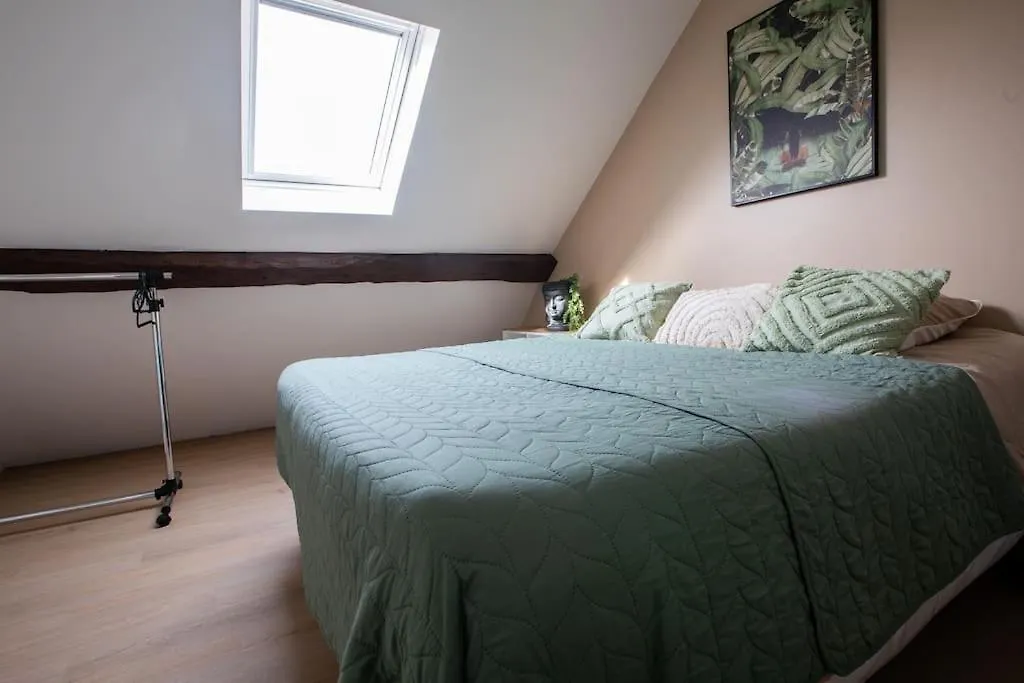 Duplex 3 Chambres, Aeroport Paris Cdg, Parc Des Expositions, Parc Asterix, Mitry-Mory Apartamento