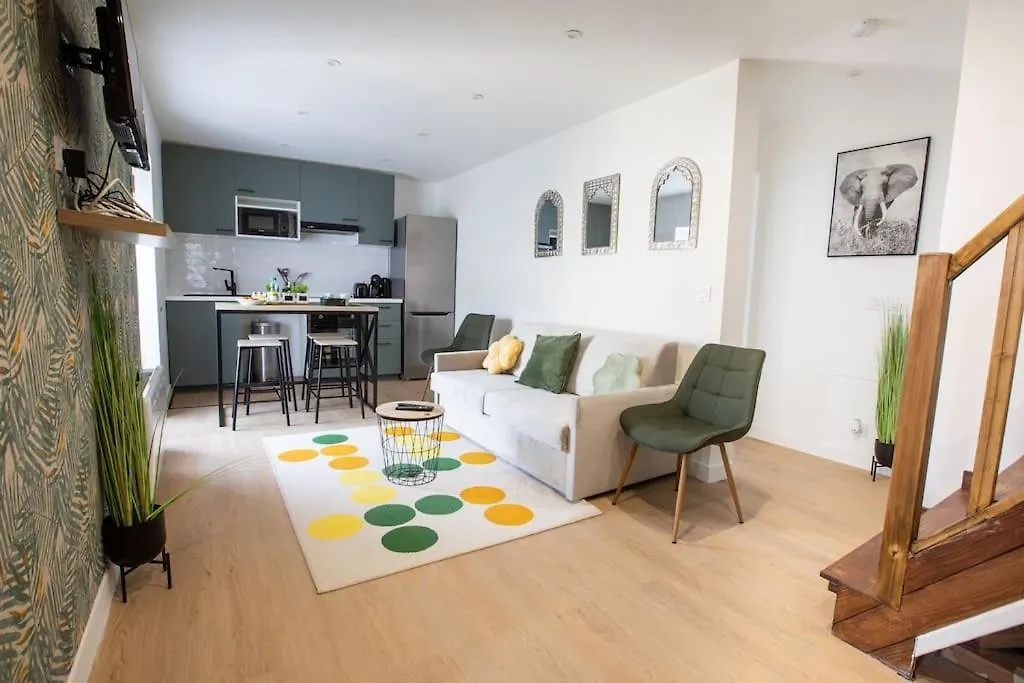 Duplex 3 Chambres, Aeroport Paris Cdg, Parc Des Expositions, Parc Asterix, Mitry-Mory France